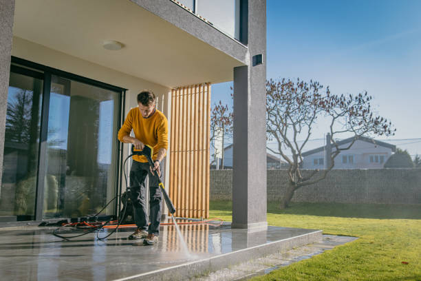 Best Roof Washing  in Chaffee, MO