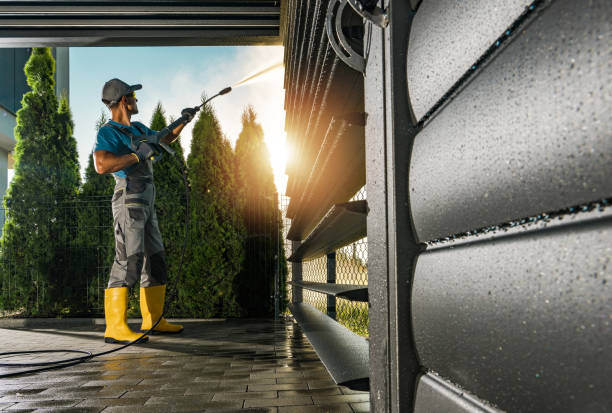 Best Solar Panel Cleaning  in Chaffee, MO